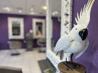  Propri�t�/ch�teau � vendre 15 + pi�ces 339 m�