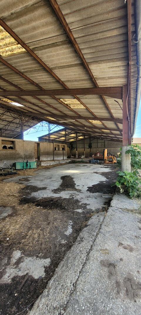 Hangar agricole 95000 01290 Cruzilles les mepillat