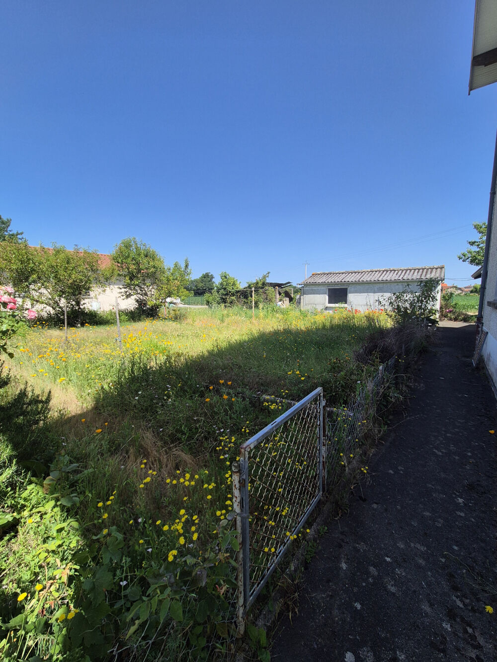 Laiz centre Maison 151 m2 avec studio indépendant et terrain de 1 888 m2