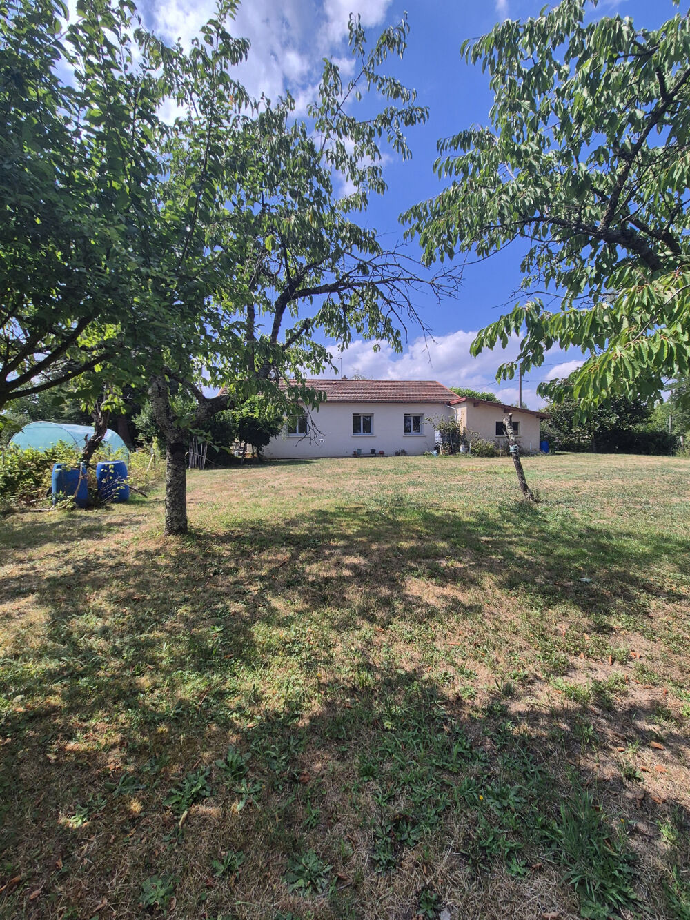 Maison de plain-pied avec 2 644 m2 de terrain st jean sur veyle