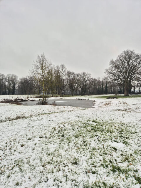   Ferme hectare St Jean sur Veyle Maison - 4 pi�ce(s) - 80 m�