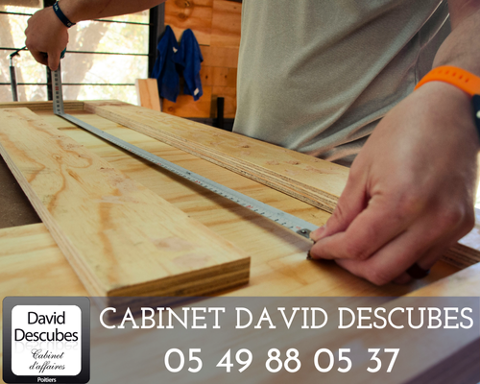 POSE DE MENUISERIE BOIS, ALU, PVC   PLACOPLATRE   BARDAGE ET ISOLATION EXTERIEURE   RENOVATION IMMOBILIERE 767200 86000 Poitiers