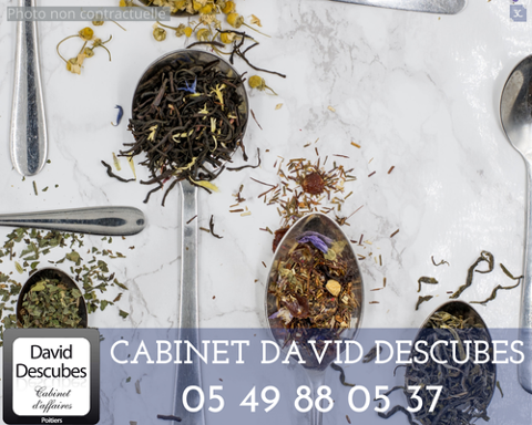 &Agrave; VENDRE   SALON DE TH&Eacute; & ACCESSOIRES 100800 86000 Poitiers