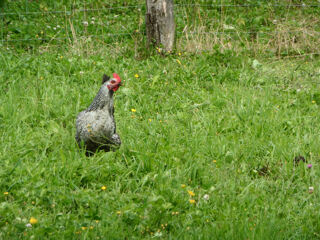  Terrain � vendre 858 m�