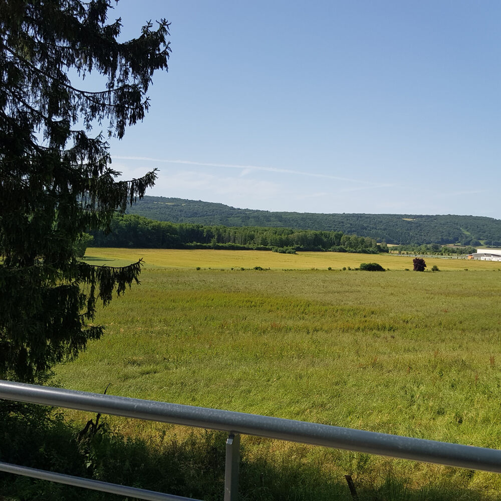 Vente Duplex/Triplex APPARTEMENT NEUF Saone