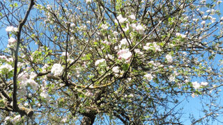  Terrain � vendre 1028 m�