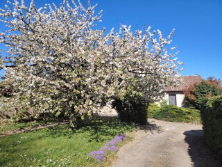  Maison � vendre 6 pi�ces 170 m�