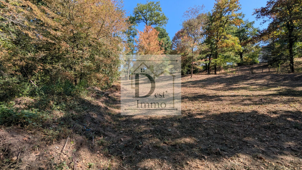 Vente Terrain Terrain arboré et au calme - À 5 min de Chabanais Etagnac