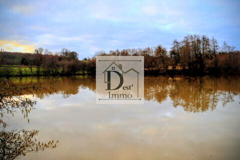   Propri�t� d'exception � Bussi�re-Galant avec �tang, g�te et fort potentiel locatif Propri�t�/ch�teau - 12 pi�ce(s) - 220 m�