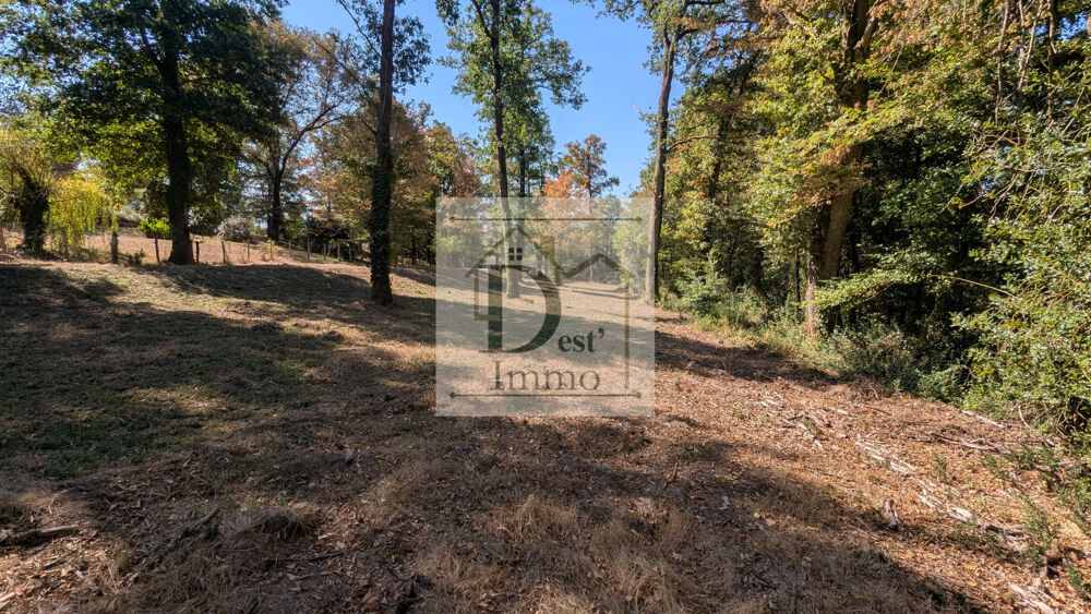 Vente Terrain Terrain arboré et au calme - À 5 min de Chabanais Etagnac