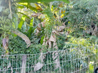  Terrain � vendre 1266 m�