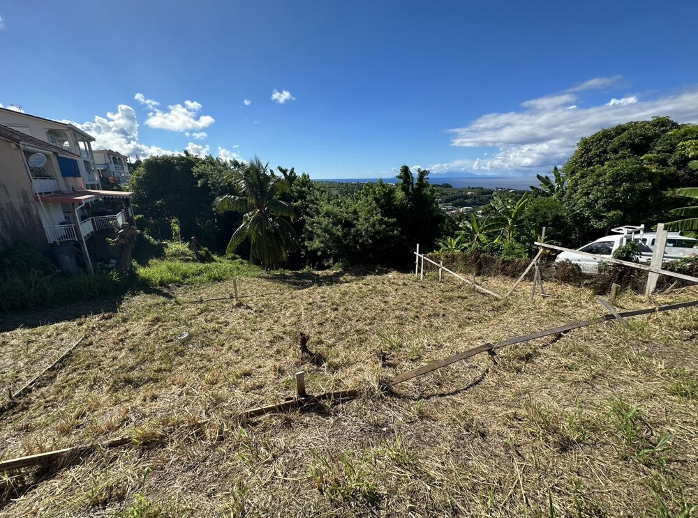 Vente Terrain Terrain constructible à vendre dans le marigot (97216) Le marigot