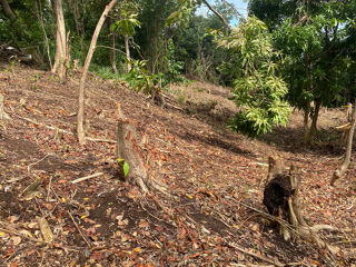  Terrain � vendre 2634 m�