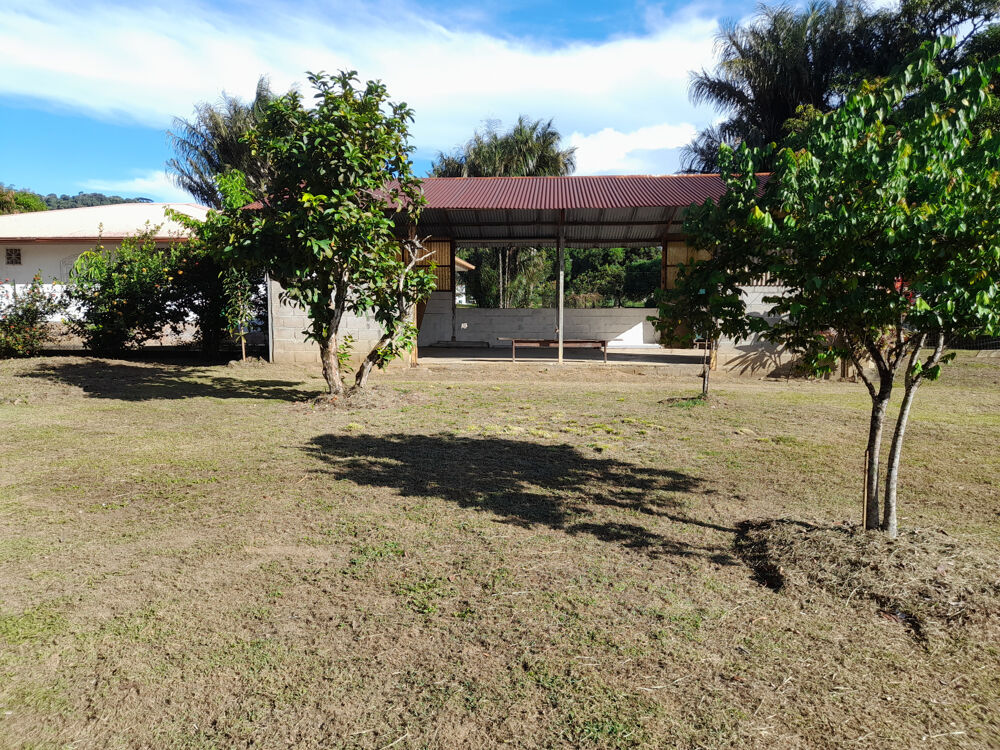 Vente Propriété/Château Propriété à vendre sur Rémire-Montjoly de 3001 m2 Remire montjoly