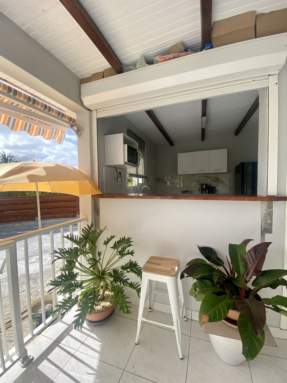   Bas de villa avec terrasse et vue dégagée DOM-TOM, Le Robert (97231)