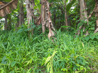  Terrain  vendre 1197 m