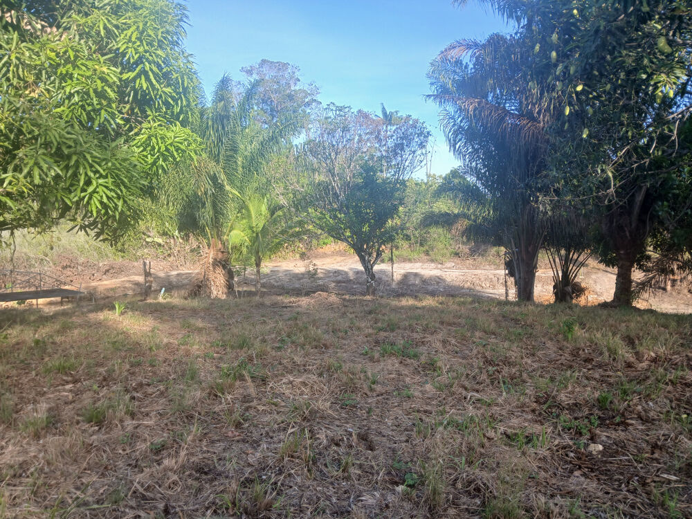 Vente Terrain TERRAIN AGRICOLE- CARAPA-10004 M2 Macouria