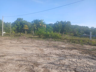  Terrain � vendre 10004 m�