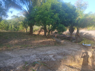  Terrain � vendre 10004 m�