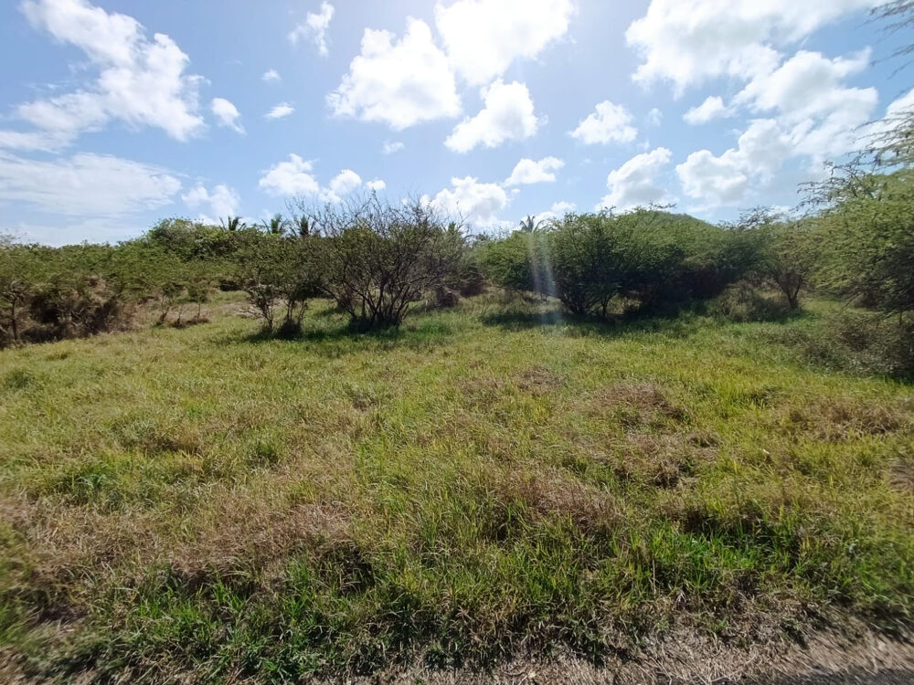 Vente Terrain 1840 m2 - SAINTE-ANNE- terrain constructible Ste anne