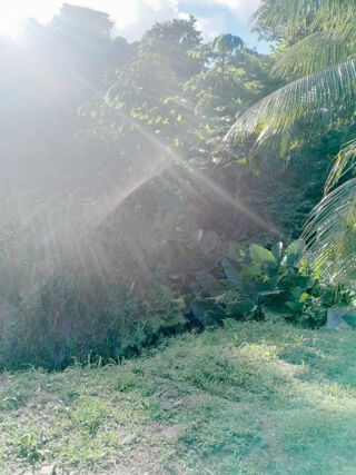  Terrain � vendre 1266 m�