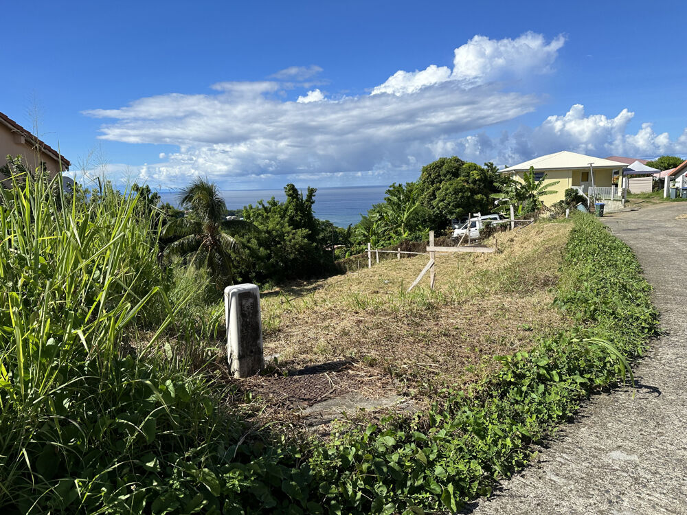 Vente Terrain Terrain constructible à vendre dans le marigot (97216) Le marigot