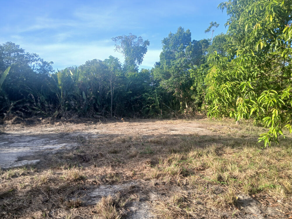 Vente Terrain TERRAIN AGRICOLE- CARAPA-10004 M2 Macouria