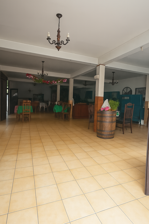   536.58 m2 TRINITE- ANCIEN HOTEL - 536.58 m2 