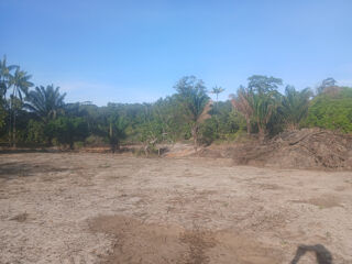  Terrain � vendre 10004 m�