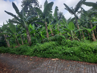  Terrain  vendre 1197 m