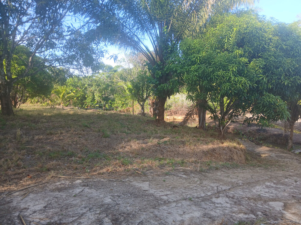 Vente Terrain TERRAIN AGRICOLE- CARAPA-10004 M2 Macouria