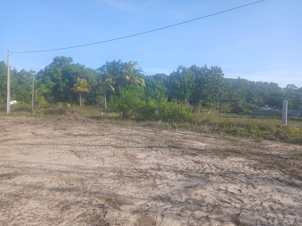 Vente Terrain TERRAIN AGRICOLE- CARAPA-10004 M2 Macouria
