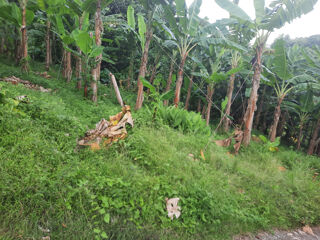  Terrain  vendre 1197 m