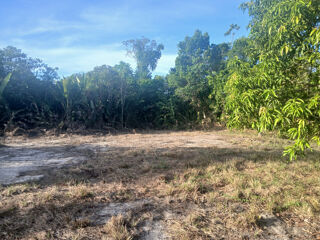  Terrain  vendre 10004 m