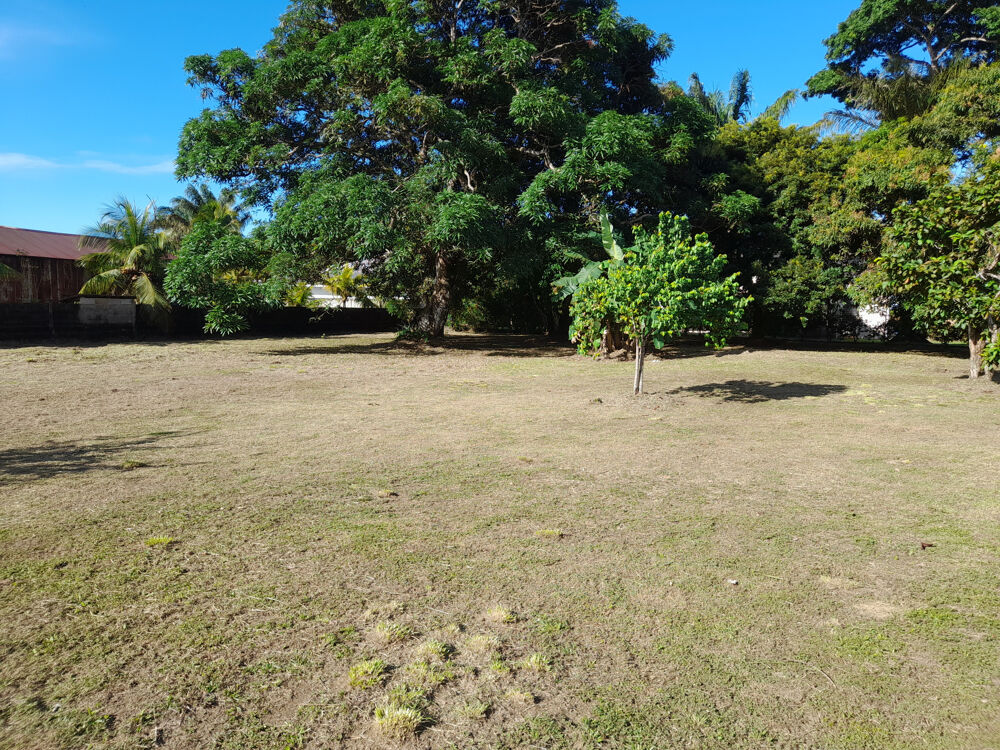 Vente Propriété/Château Propriété à vendre sur Rémire-Montjoly de 3001 m2 Remire montjoly