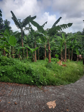  Terrain � vendre 1197 m�