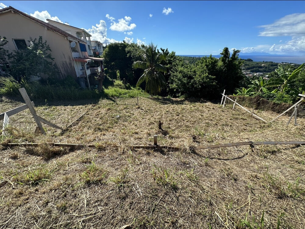 Vente Terrain Terrain constructible à vendre dans le marigot (97216) Le marigot