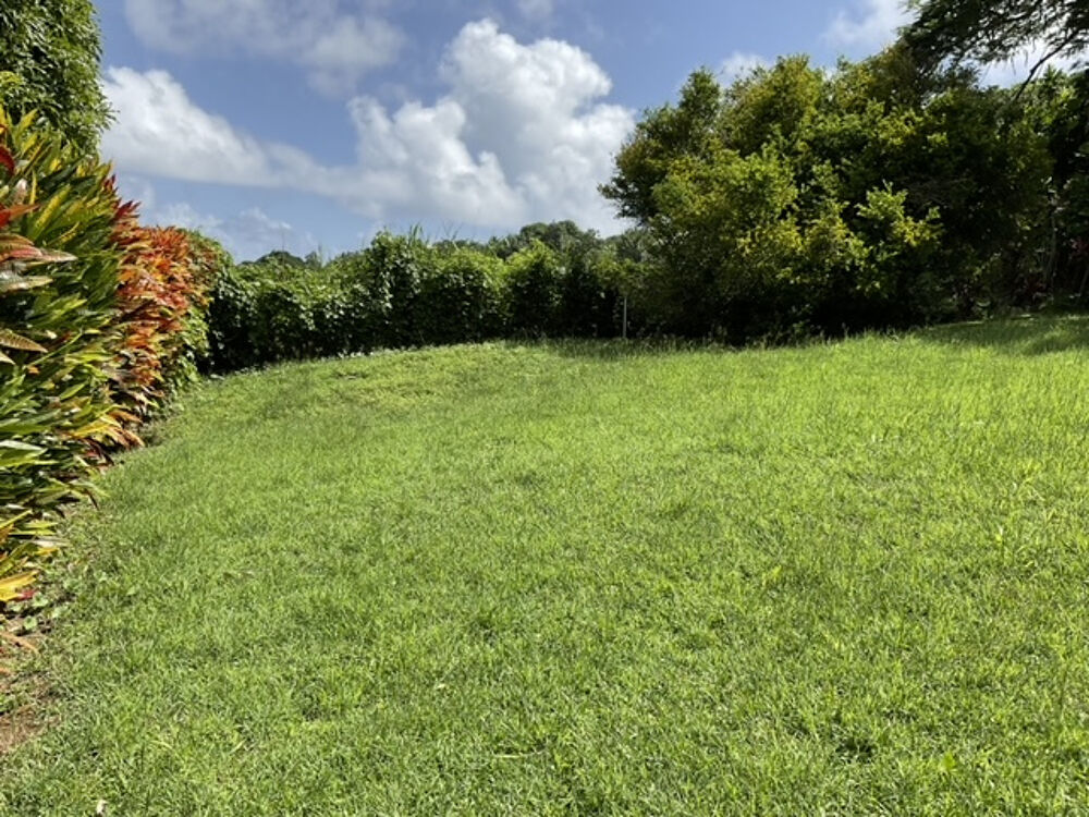� vendre  Maison Sainte-Marie (97230)