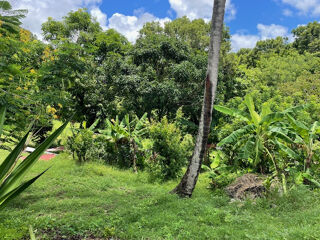  Terrain  vendre 1632 m