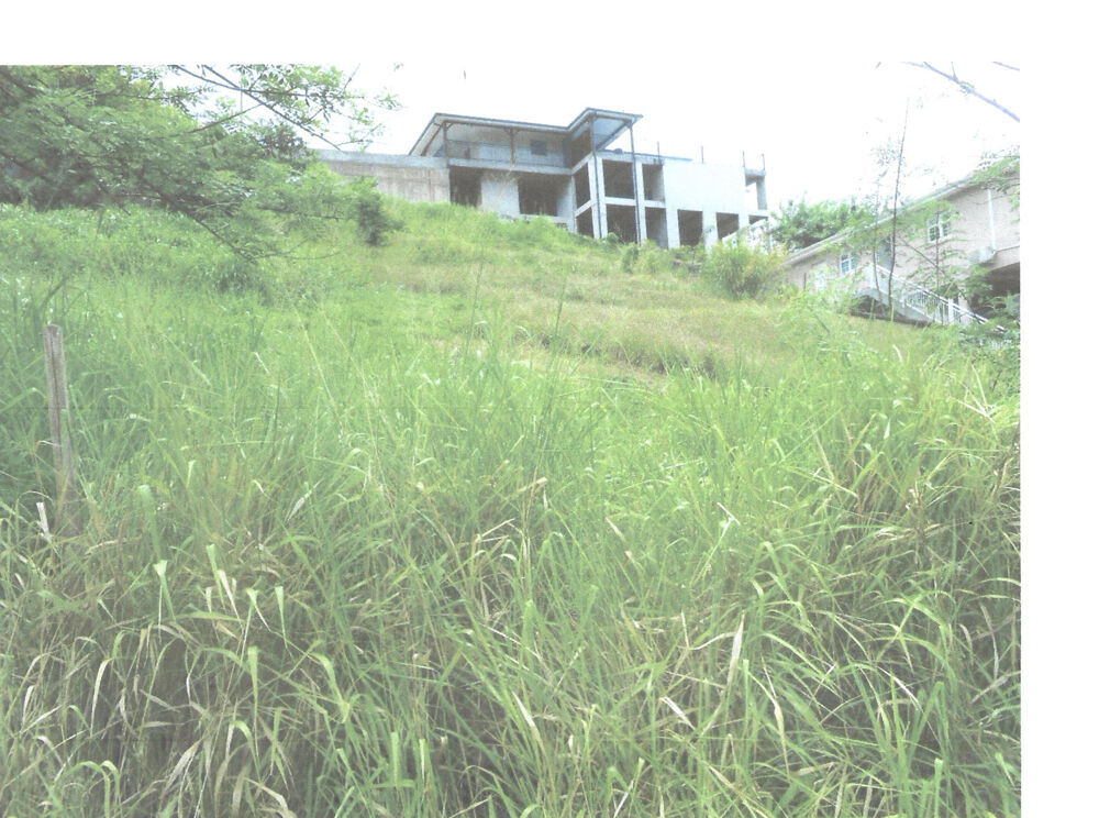 Vente Terrain AV terrain à bâtir 922 m2  97228 Sainte Luce lieudit Deville,  € 198 000 Ste luce