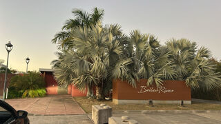  Terrain � vendre 1137 m�