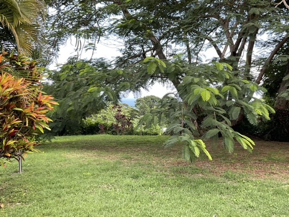 � vendre  Maison Sainte-Marie (97230)