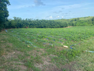  Terrain � vendre 2000 m�