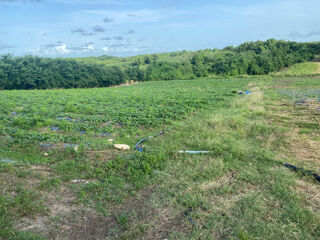  Terrain � vendre 2000 m�