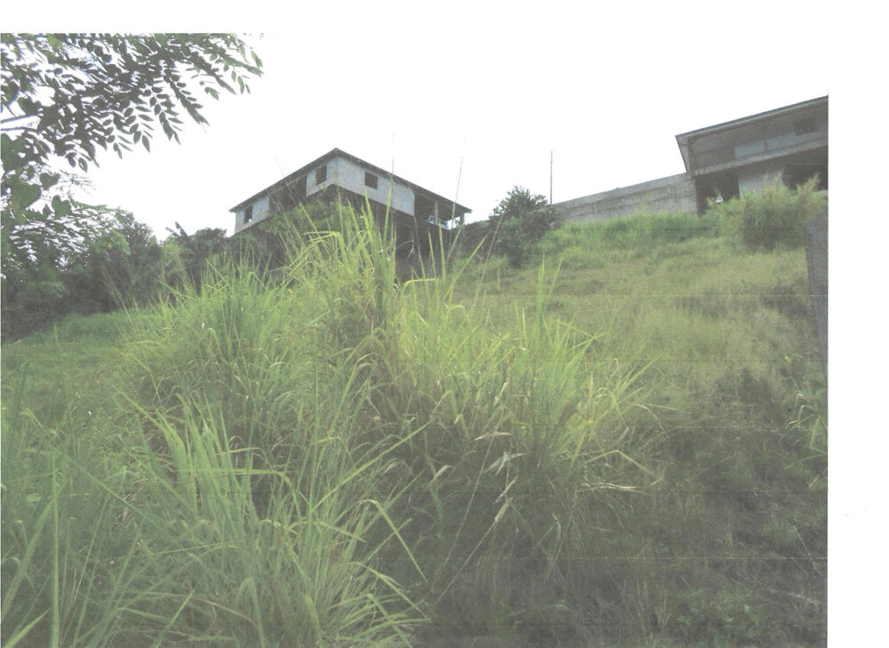 Vente Terrain AV terrain à bâtir 922 m2  97228 Sainte Luce lieudit Deville,  € 198 000 Ste luce