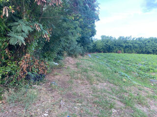  Terrain � vendre 2000 m�