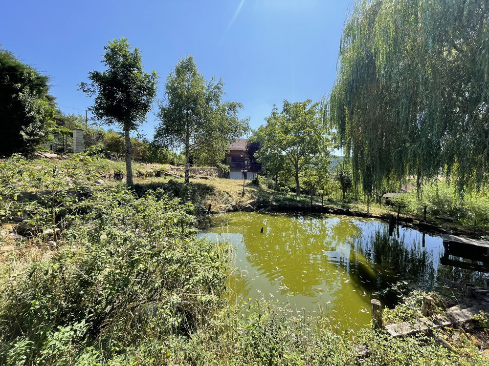 Vente Maison Chalet en bois avec étang et vue campagne   Un véritable havre de paix ! Charlieu