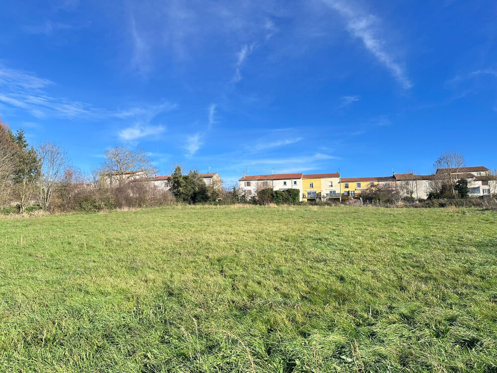 Vente Terrain 5503 m2 - Terrain Constructible - 42590 NEULISE - Neulise