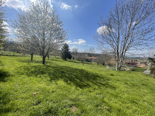  Terrain à vendre 1244 m²