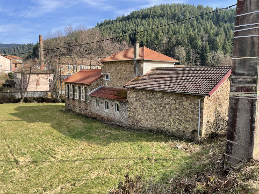 Maison avec dépendances et grand terrain attenant